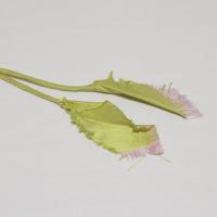 シルクリボン(2本セット)