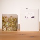 GREEN CANDLE ( L ) - キウイ