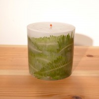 GREEN CANDLE ( L ) - シシガシラ