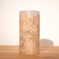 GREEN CANDLE ( M ) - レンコン