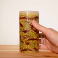 GREEN CANDLE ( M ) - セイタカアワダチソウ.ケイトウ