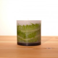 GREEN CANDLE ( S ) - シシガシラ