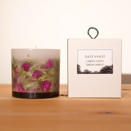 GREEN CANDLE ( S ) - センニチコウ