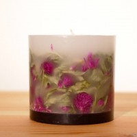 GREEN CANDLE ( S ) - センニチコウ