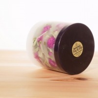 GREEN CANDLE ( S ) - センニチコウ