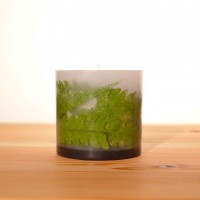 GREEN CANDLE ( S ) - シダ