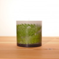 GREEN CANDLE ( S ) - シダ
