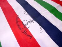 THE SUPERIOR LABOR / paint rug L