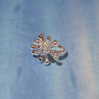 Monica Castiglioni / RING 04