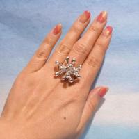 Monica Castiglioni / RING 04