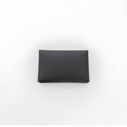 ITTI - HERRIE CARD CASE 40 / RAPTO